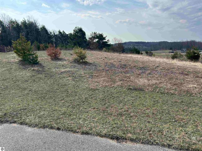 Lots 11 &amp; 12 Hillman Road, Home with 0 bedrooms, 0 bathrooms and null parking in Ellsworth MI | Image 5