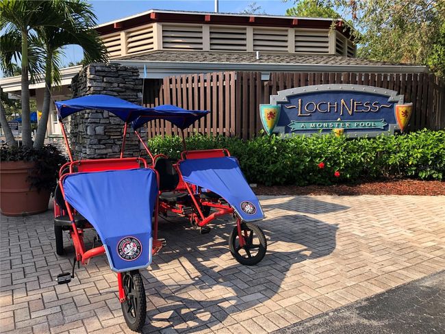 09110 - 36750 Us Highway 19 N, Condo with 1 bedrooms, 10 bathrooms and null parking in PALM HARBOR FL | Image 31