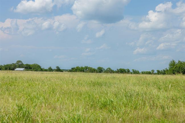 317 Memory Ln, Home with 0 bedrooms, 0 bathrooms and null parking in Burton TX | Image 8