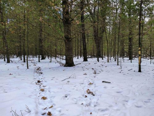 19.81 Acres 6th Avenue, LINCOLN, WI, 53936 | Card Image