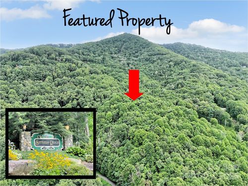 00 Trickle Creek Rd, Waynesville, NC, 28785 | Card Image