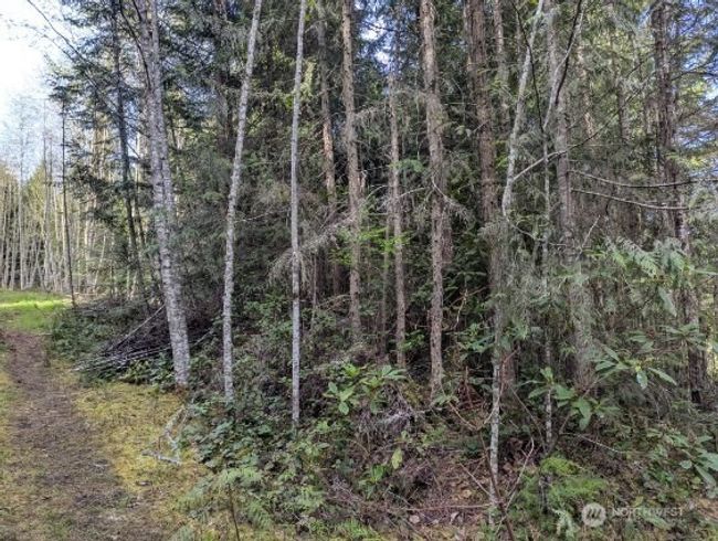 9999 Lone Tree Dr, Home with 0 bedrooms, 0 bathrooms and null parking in Sequim WA | Image 7