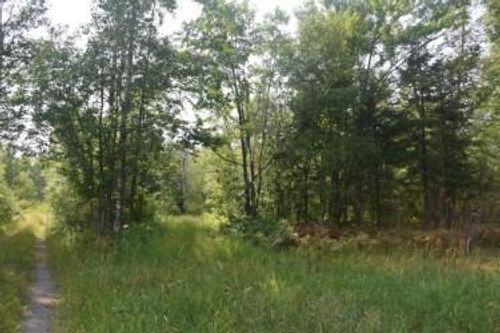 15690 330th St, McGregor, MN, 55760 | Card Image