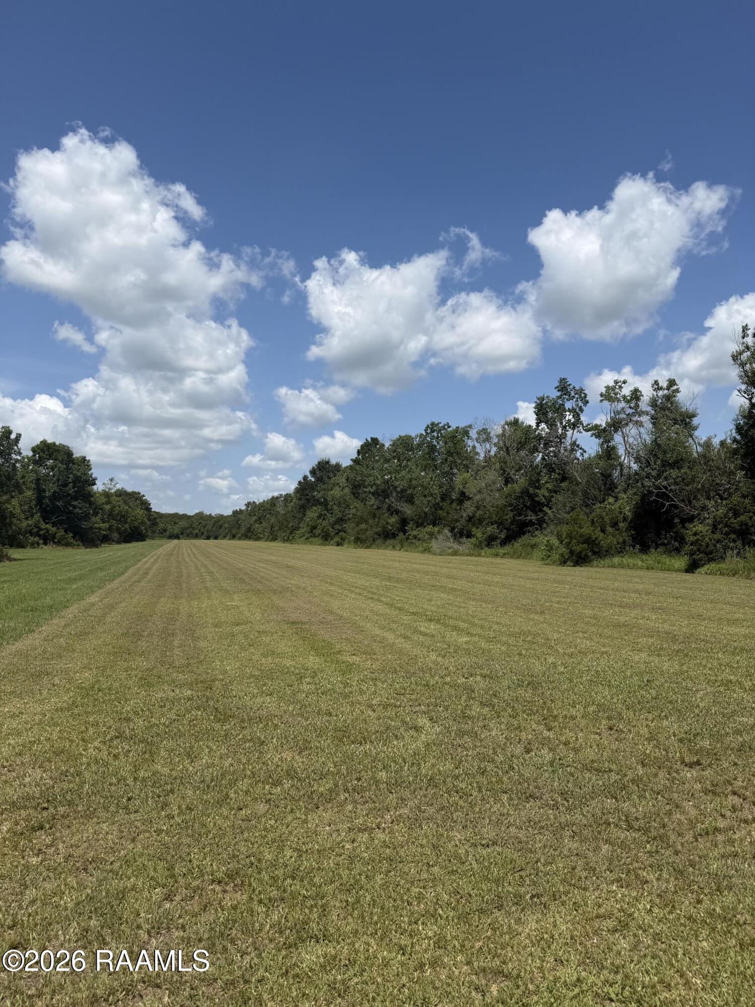 Land in St. Martinville 5