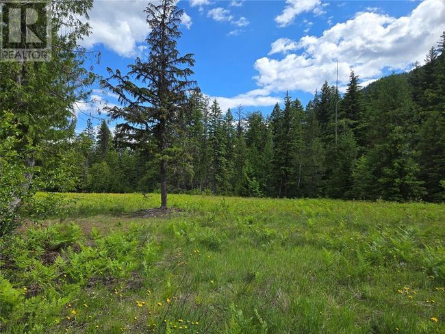 3809 Passmore Upper Rd, Home with 0 bedrooms, 0 bathrooms and null parking in Passmore BC | Image 9