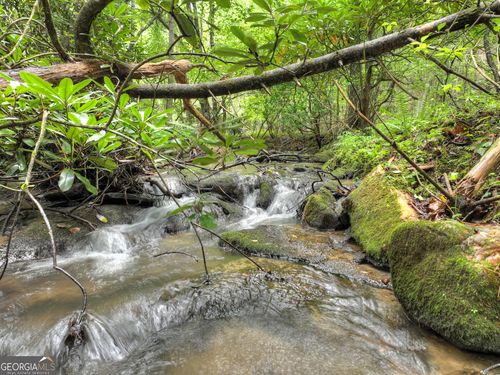 LOT 44 Synacia Dr, Mineral Bluff, GA, 30559 | Card Image