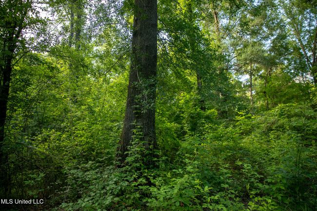 C55A6635 | Image 56