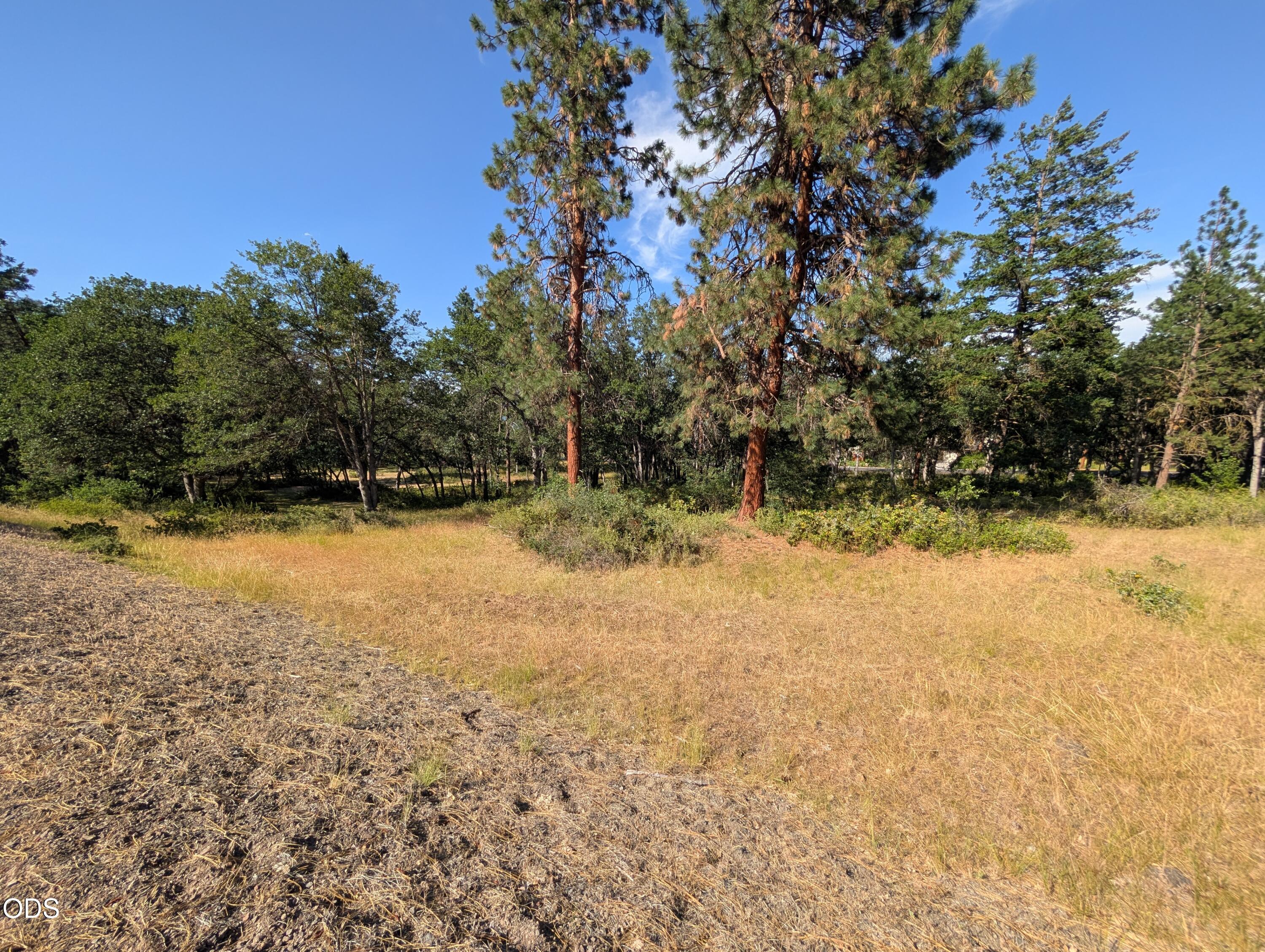 Land in Klamath Falls