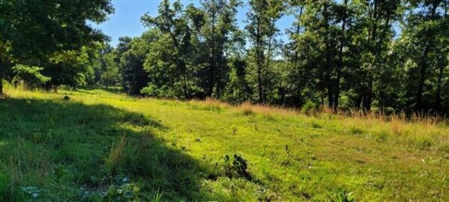20220620_085028 | Image 47