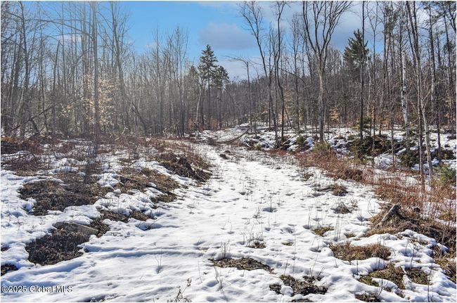 48 Durkin Rd, Home with 0 bedrooms, 0 bathrooms and null parking in North Creek NY | Image 31