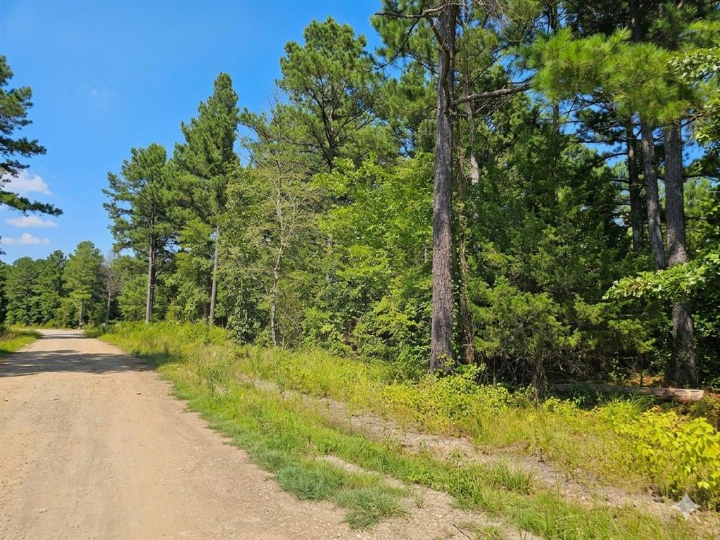 Land in Hochatown 4