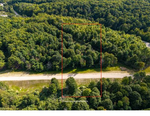 Lot #2 E Bellinger Road, Kasson Township, MI, 49621 | Card Image