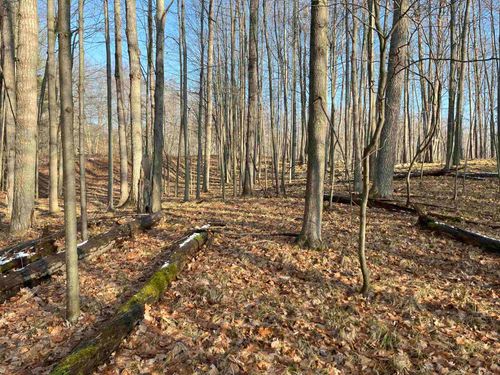 9357 W Circle Dr, Stanwood, MI, 49346-9610 | Card Image