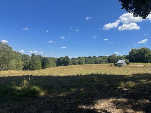 2105 Gin Hollow Rd, Erin, TN, 37061-5516 | Card Image