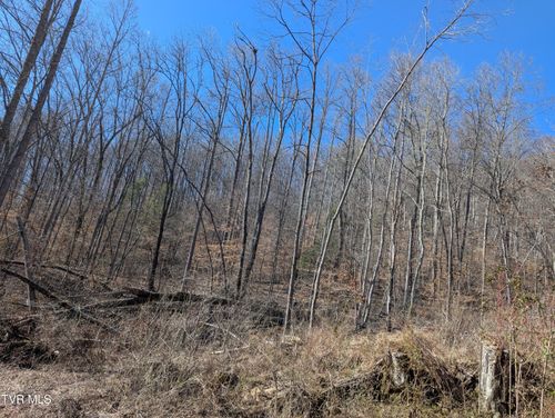 Tbd Mabe Stanleytown Rd, Duffield, VA, 24244 | Card Image