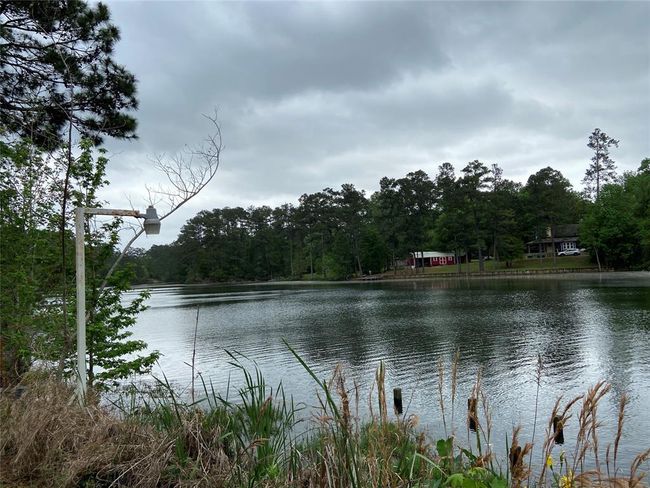 Beautiful private lake just steps from your back door | Image 12