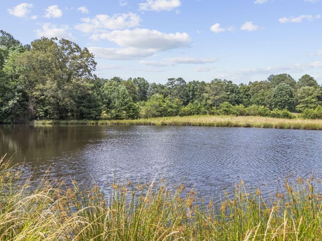 989 Kay Conley Rd, House other with 4 bedrooms, 4 bathrooms and null parking in Rock Spring GA | Image 83