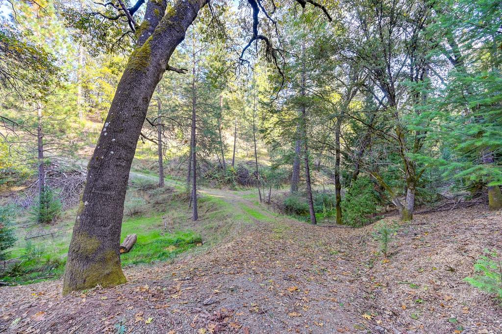 Land in Colfax 5