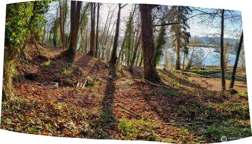 1030 E Bay Dr Ne, Olympia, WA, 98506-3974 | Card Image