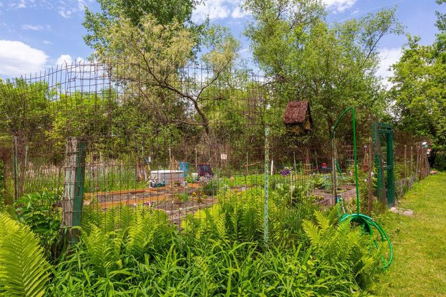 Community Garden | Image 32