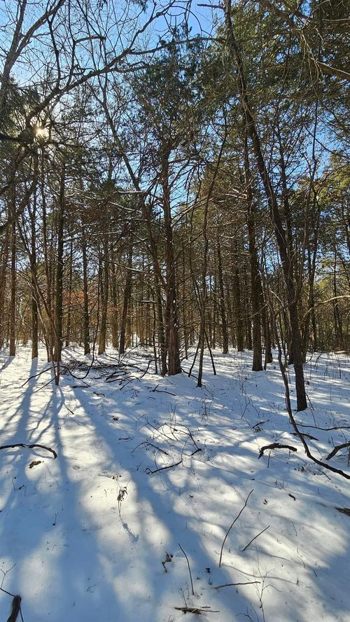 Lot 17 / Blk 01 Sunset Drive, Diamond City, AR, 72630 | Card Image