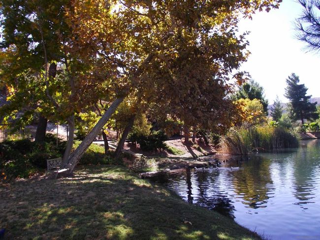 UNITSPACE-75 - 35109 Highway 79, House other with 3 bedrooms, 2 bathrooms and 4 parking in Warner Springs CA | Image 50