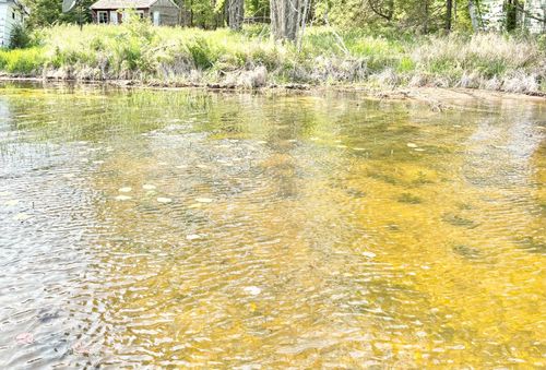 1134 Roberts Rd, Pelican Lake, WI, 54463-9568 | Card Image