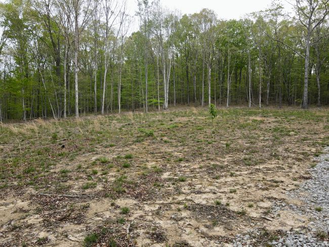 0 Deerwood Dr, Home with 0 bedrooms, 0 bathrooms and null parking in Sewanee TN | Image 27