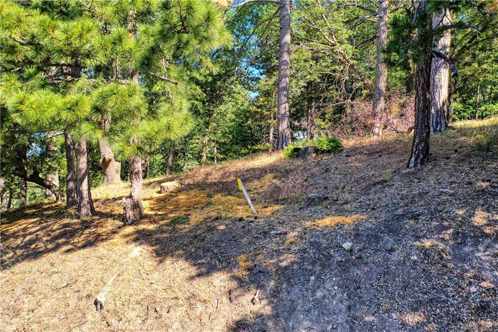 Land in Running Springs 2