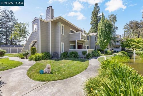 d-204 Norris Canyon Pl, San Ramon, CA, 94583-1446 | Card Image