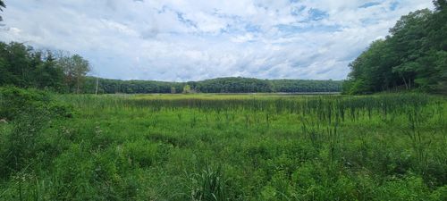 VL S Trail Of The Lk, Baldwin, MI, 49304 | Card Image