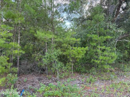 312 New Jersey Ave, Hawthorne, FL, 32640-5225 | Card Image