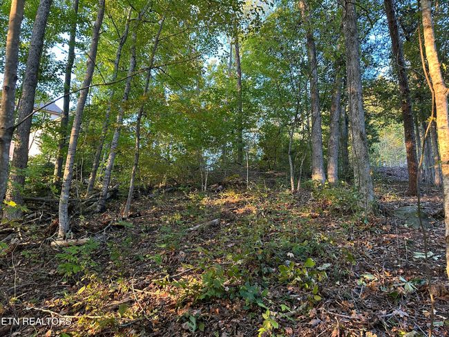 778 Russell Bros Rd, Home with 0 bedrooms, 0 bathrooms and null parking in Sharps Chapel TN | Image 10