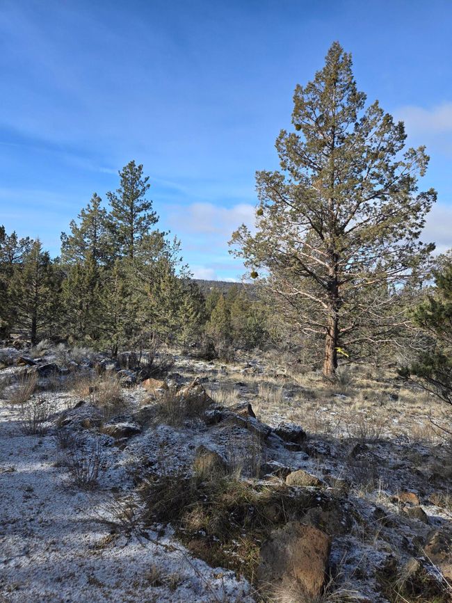 Lot | Image 19