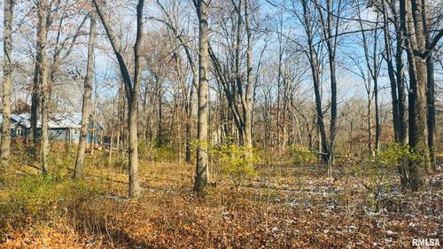 000 White Birch Ct, Benton, IL, 62812 | Card Image