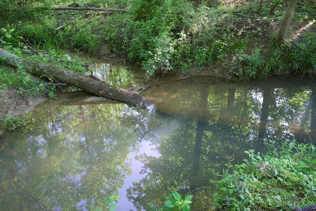 40.46AC Barker Cove Loop, Home with 1 bedrooms, 1 bathrooms and null parking in Palmer TN | Image 39