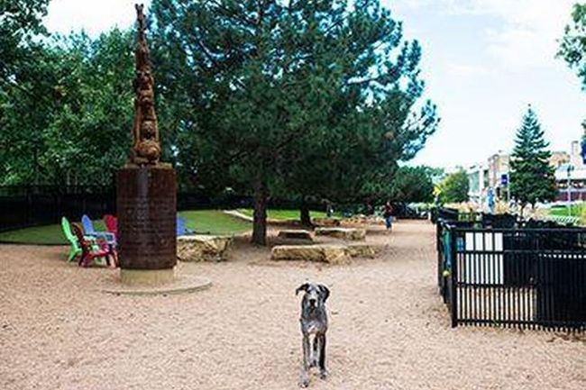 For our furry friends, there are many dog parks nearby, Clearly Lake Dog Park is a 28 acre off-leash. Only 8 miles from Springview Meadows. | Image 47