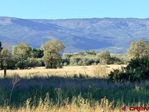 Lot 9 La Habra Dr, Eckert, CO, 81418 | Card Image
