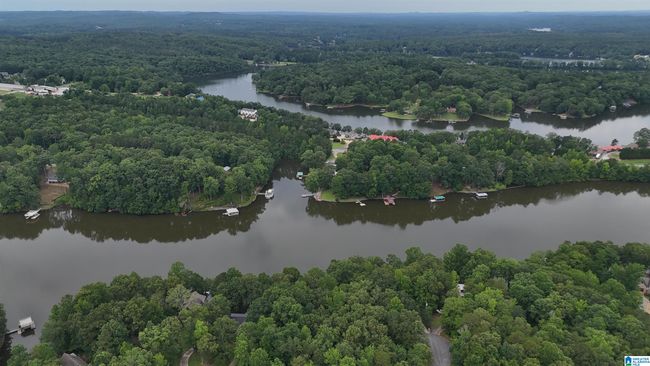 358 Muffit Dr, House other with 5 bedrooms, 4 bathrooms and null parking in Wedowee AL | Image 36