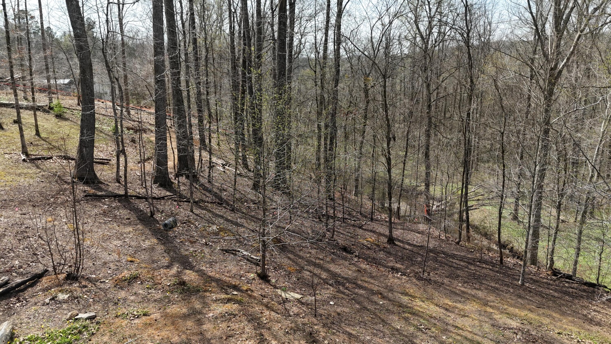 Land in Decatur 2