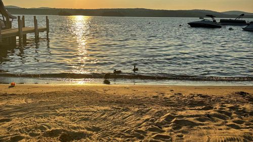 3-144 Lake St, Laconia, NH, 03246-2130 | Card Image