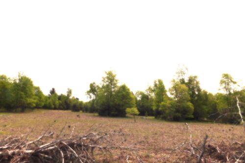 b2682-15880 Potter Rd, Kaleva, MI, 49645-9745 | Card Image