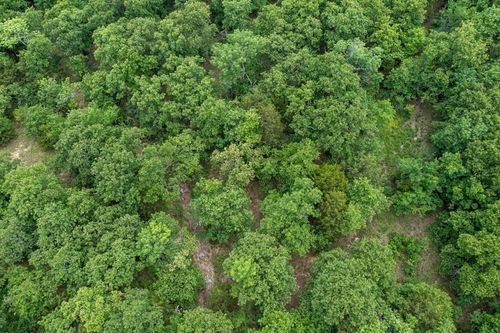 8787 D 1277 Rd, Lamar, OK, 74850-9230 | Card Image