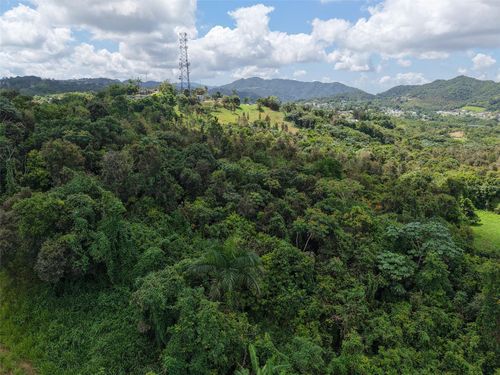 PR 7718 KM 3.6 Pasto Ward, AIBONITO, PR, 00705 | Card Image