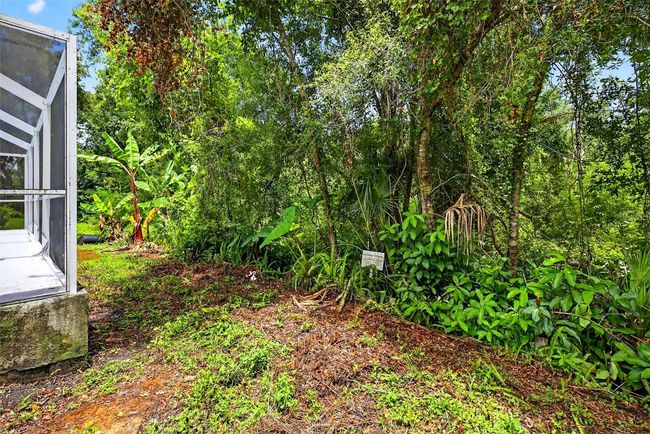 7513 Savannah Ln, House other with 3 bedrooms, 2 bathrooms and null parking in TAMPA FL | Image 25