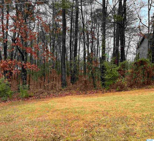 Lot 2 Blk 5 County Road 380, Centre, AL, 35960 | Card Image