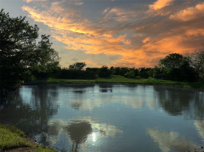 Pond. Stocked with Hybrid Bluegill. | Image 12