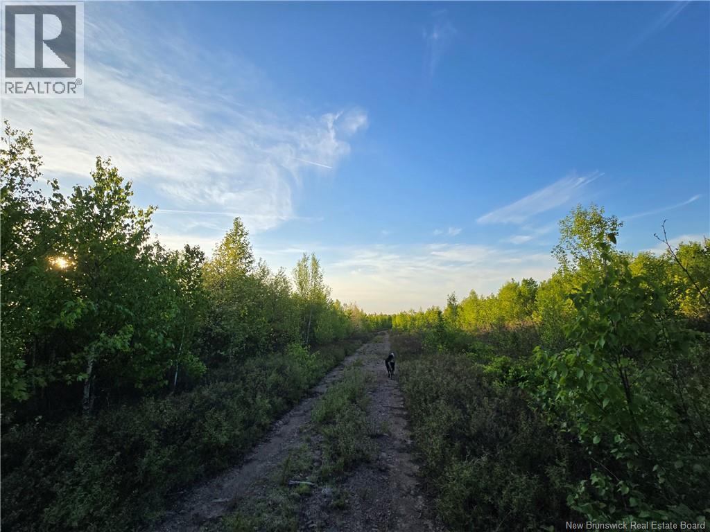 Land in Head Of Millstream 5