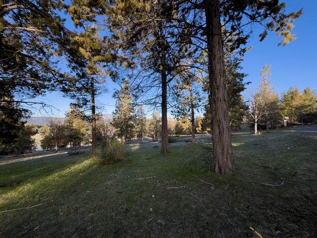 520 Mourning Dove Dr-02 | Image 5