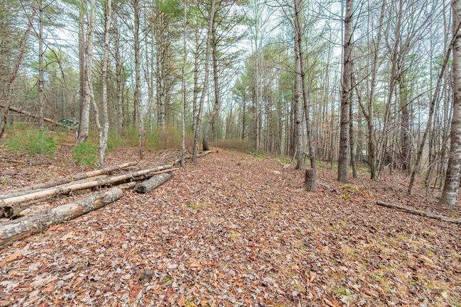 000 Miriam Road, Home with 0 bedrooms, 0 bathrooms and null parking in Dugspur VA | Image 10